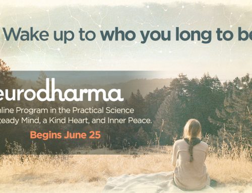 The Practical Science of a Steady Mind, Kind Heart, and Inner peace – Neurodharmaa